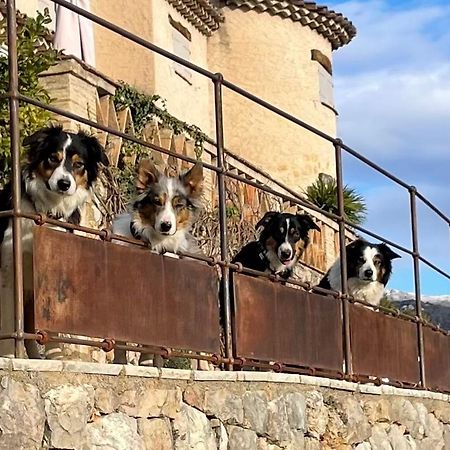 L'Escale Du Ciel Bed & Breakfast Le Bar-sur-Loup Exterior photo